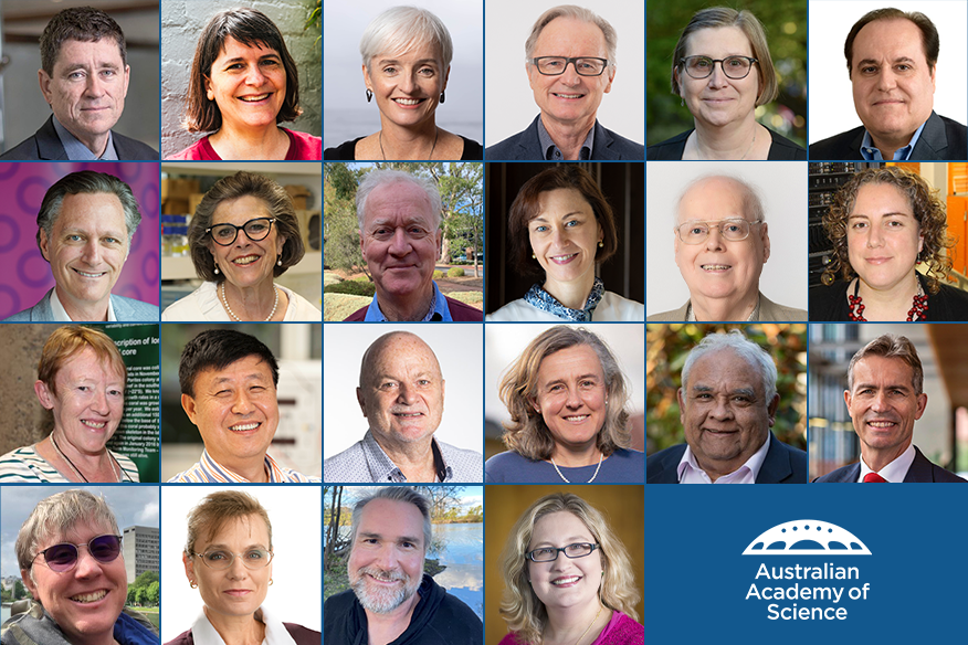 Academy announces 2022 Fellows for outstanding contributions to science